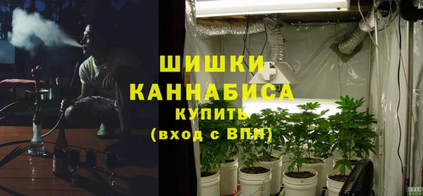 мескалин Ельня