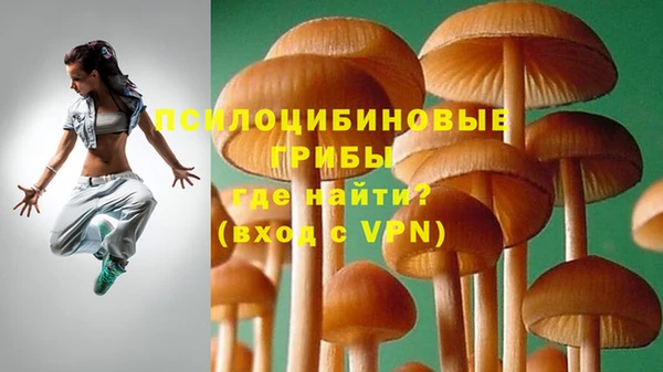 меф Елизово
